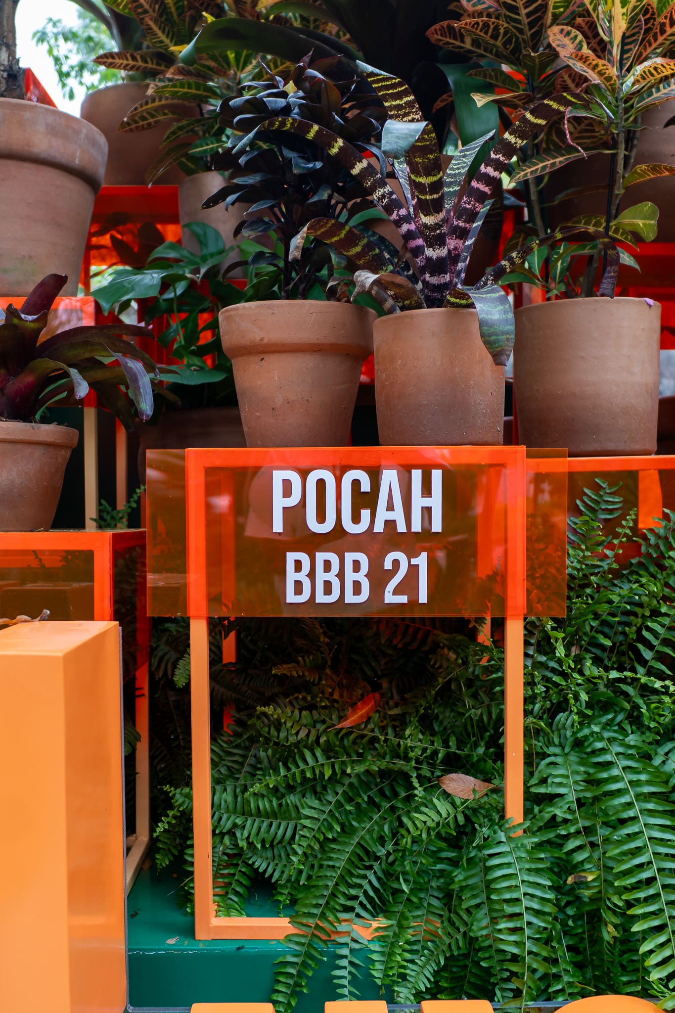 BAOBASTUDIO___-12